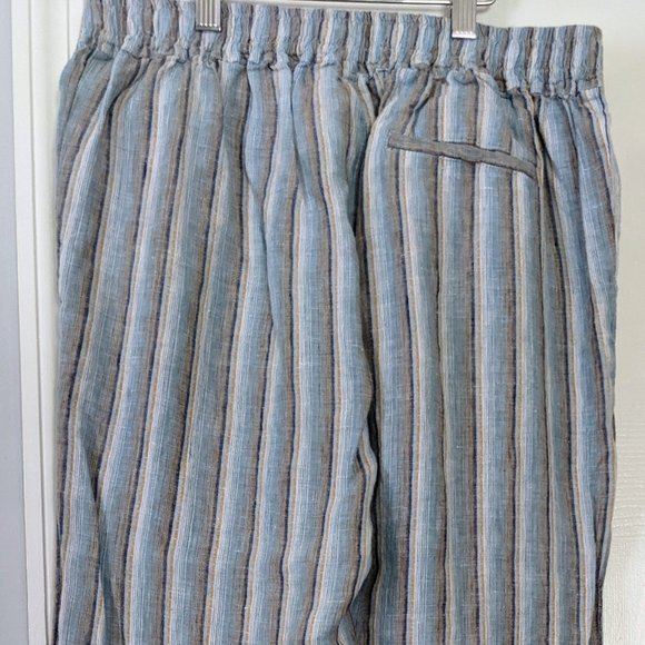 FAHERTY USA M Linen Pants 6 8 Fresh Blue Stripes Pockets and Pleats  ~NEW - Picture 6 of 12